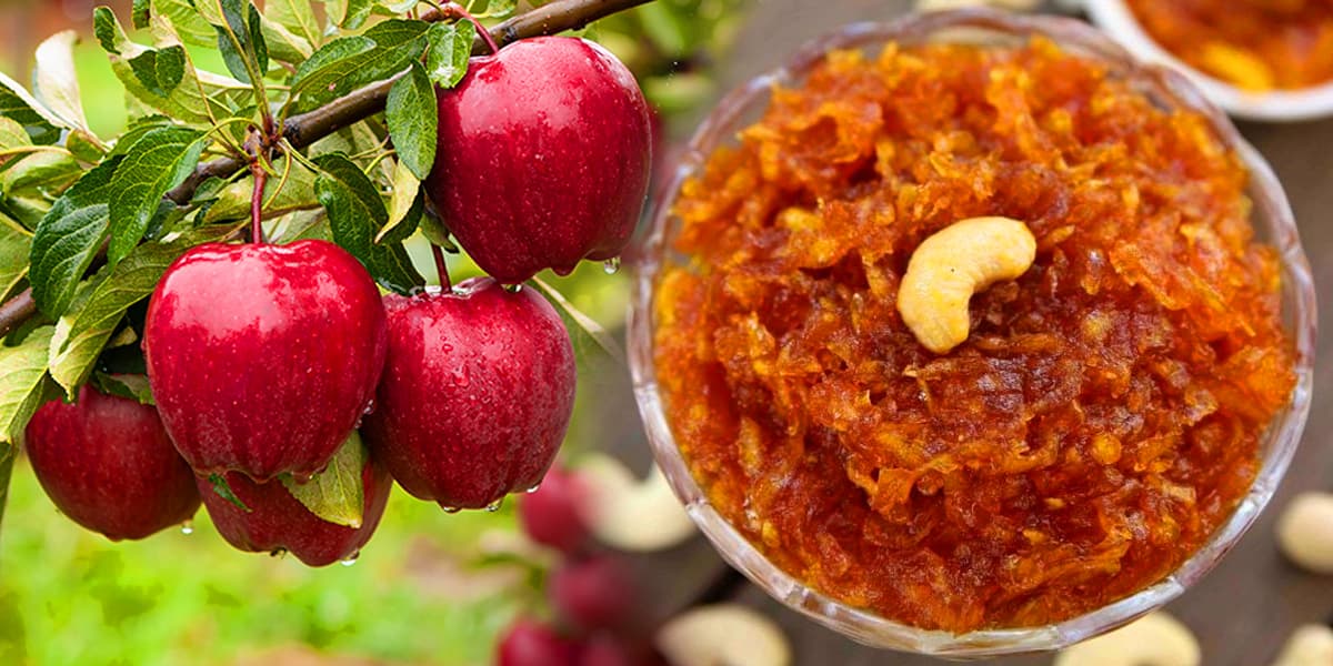 apple halwa