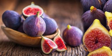 Fig
