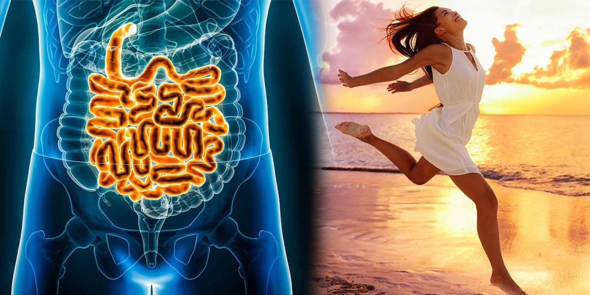 HumanIntestine