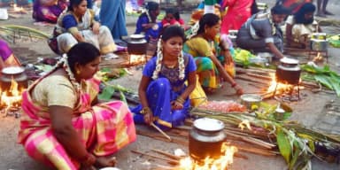 Pongal 2024
