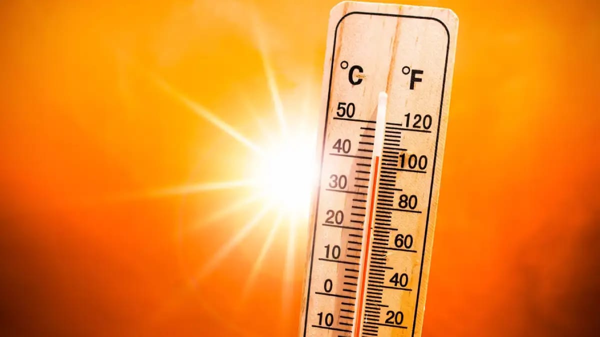 TN Temp