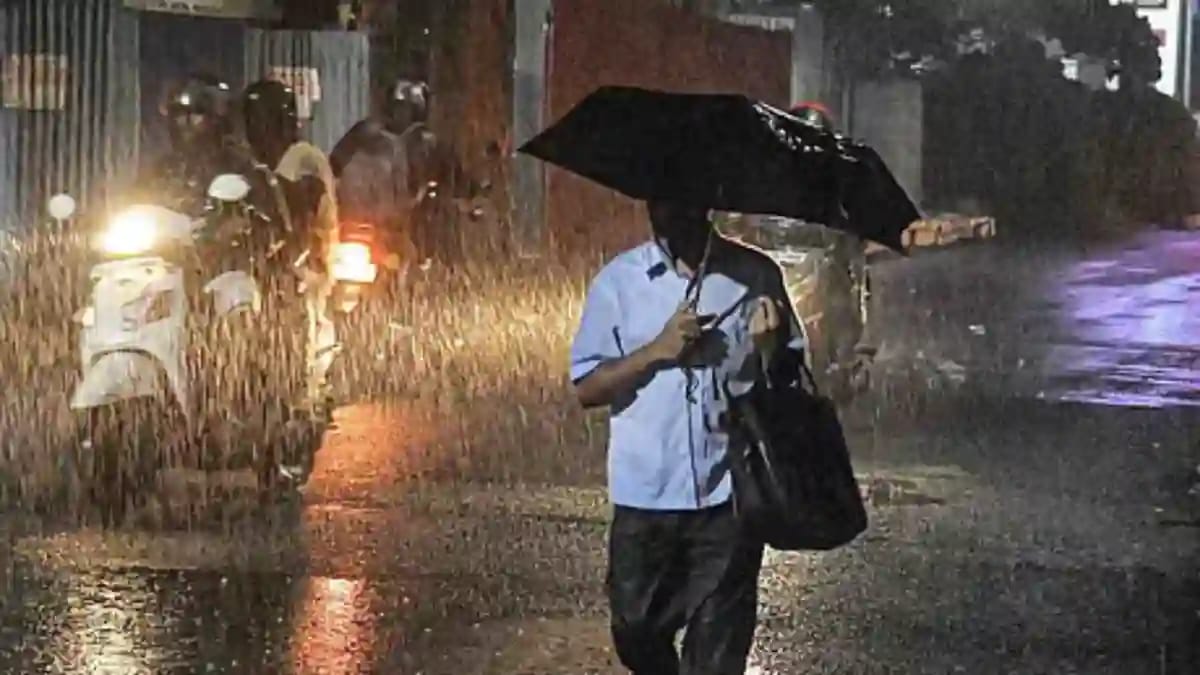 LIGHT RAIN TN