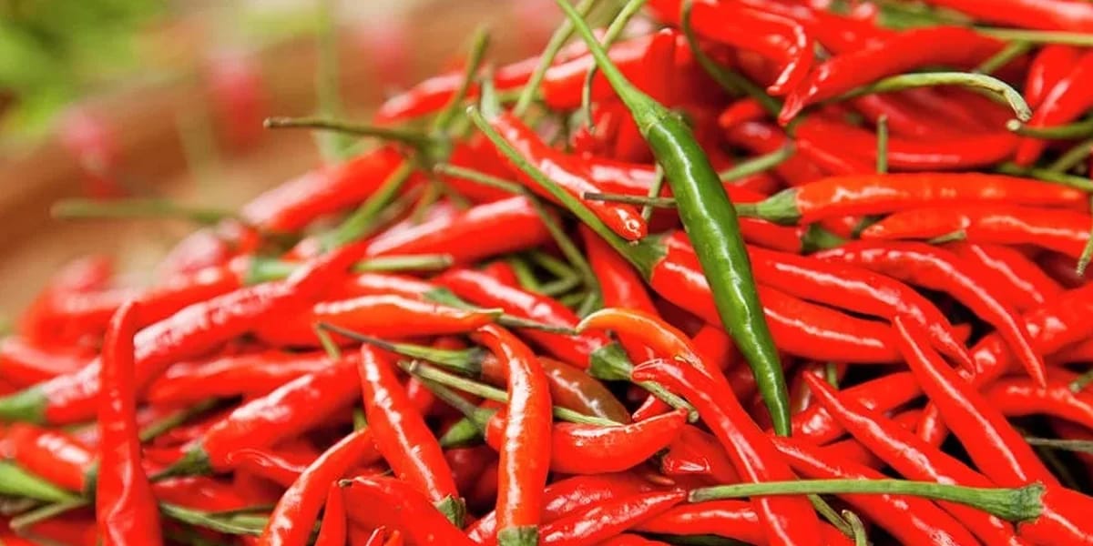 Red chilly