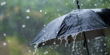 Rain