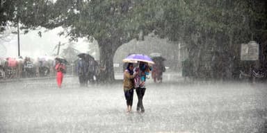 haryana rain