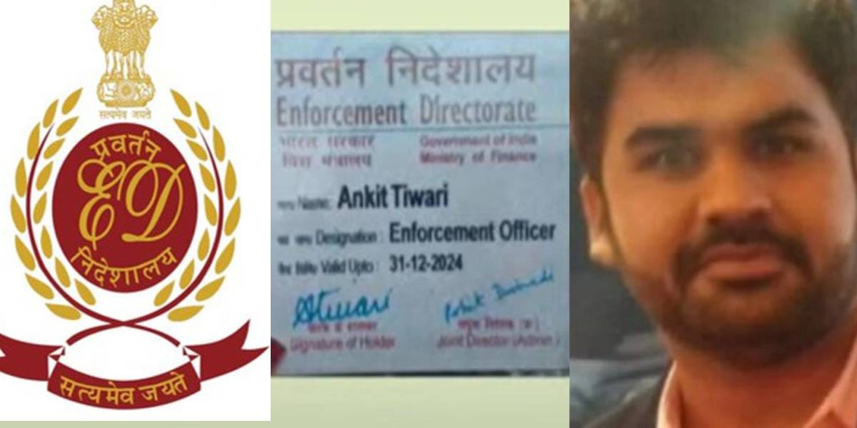 Enforcement Officer
