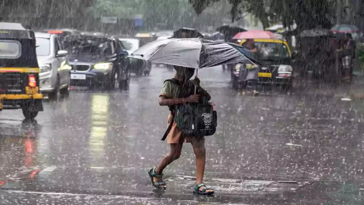 TN RAIN