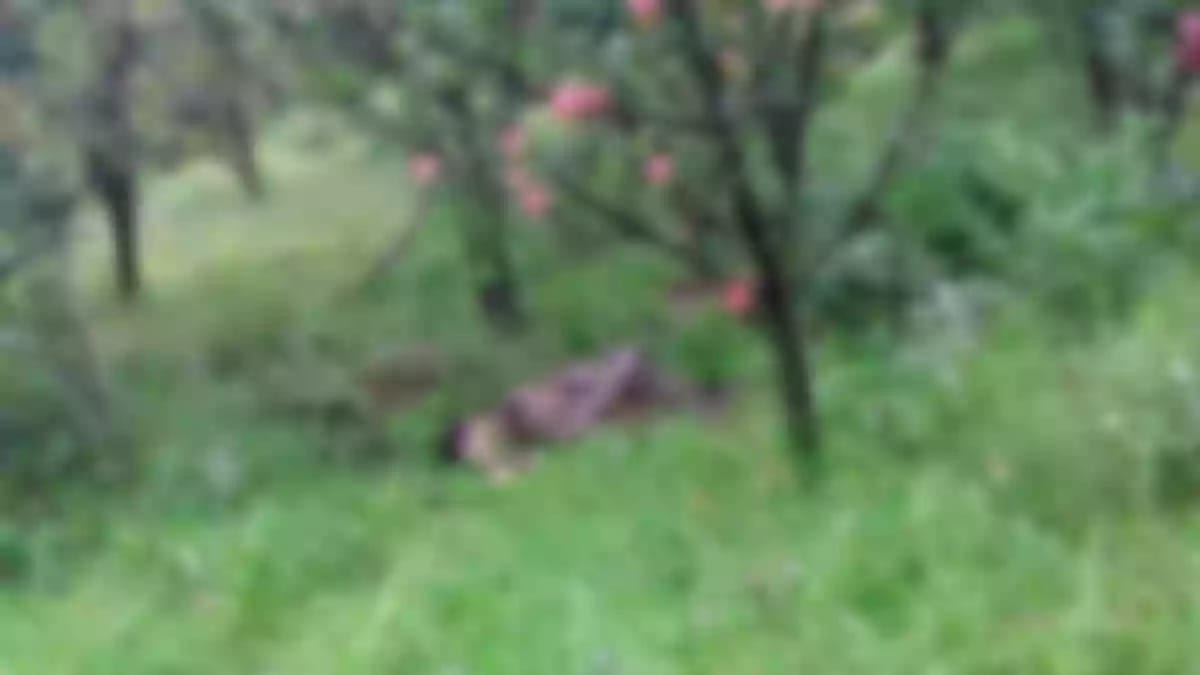 Kulgam Encounter