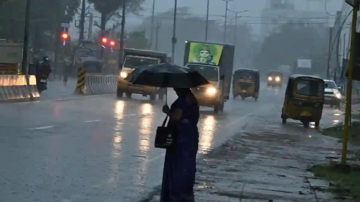 Rain Update tn