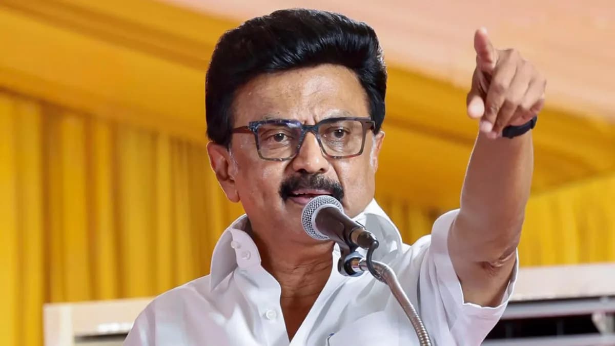 கம் பேக் கொடுப்பதில் திமுக தான் Specialist...மு.க.ஸ்டாலின் அதிரடி ஸ்பீச்!