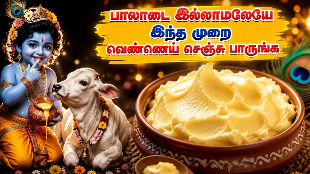 ஆஹா என்ன ருசி...கிருஷ்ண ஜெயந்திக்கு இந்த மாதிரி வெண்ணெய் செஞ்சு பாருங்க!