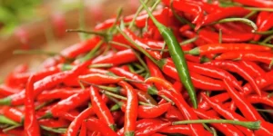 Red chilly