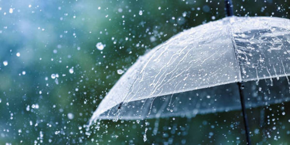 Rain