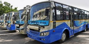 600Buses
