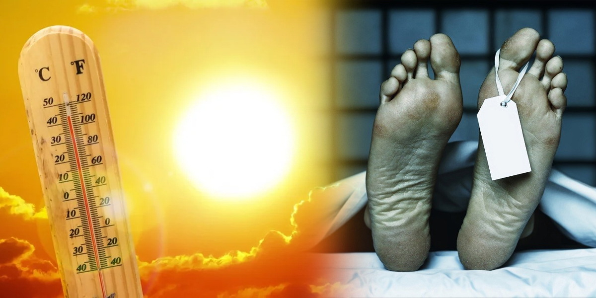 HeatWaveDead
