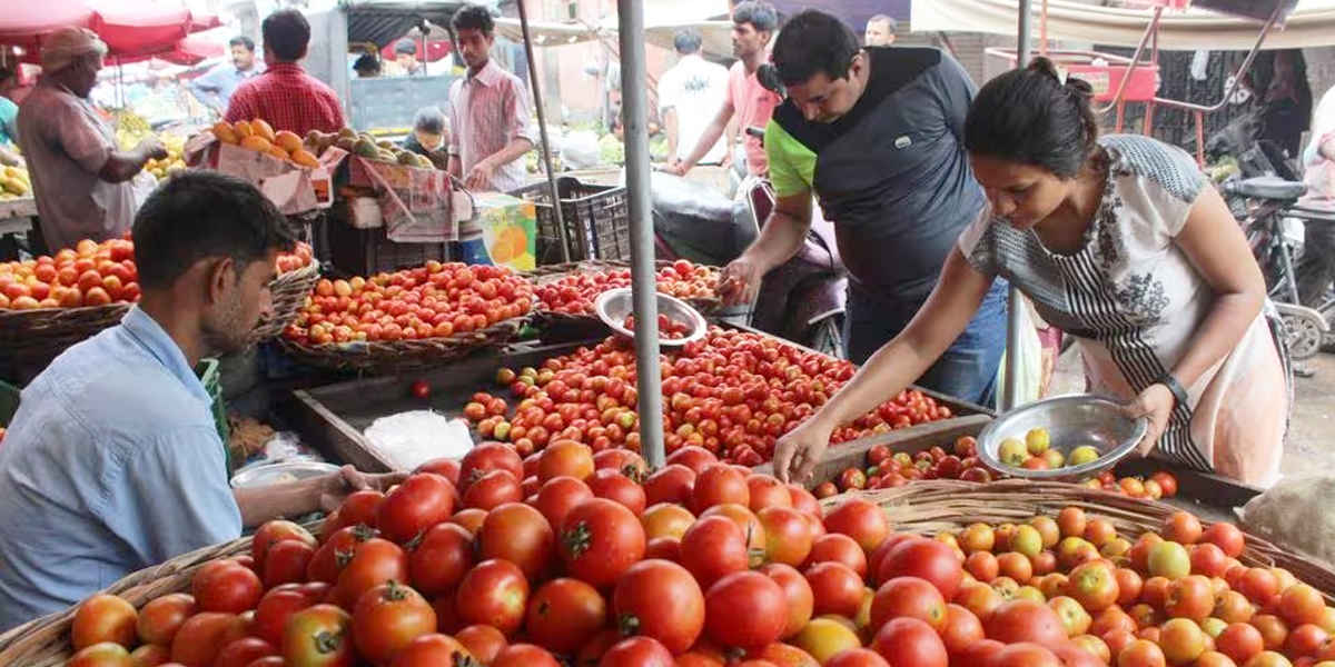 TomatoPrice