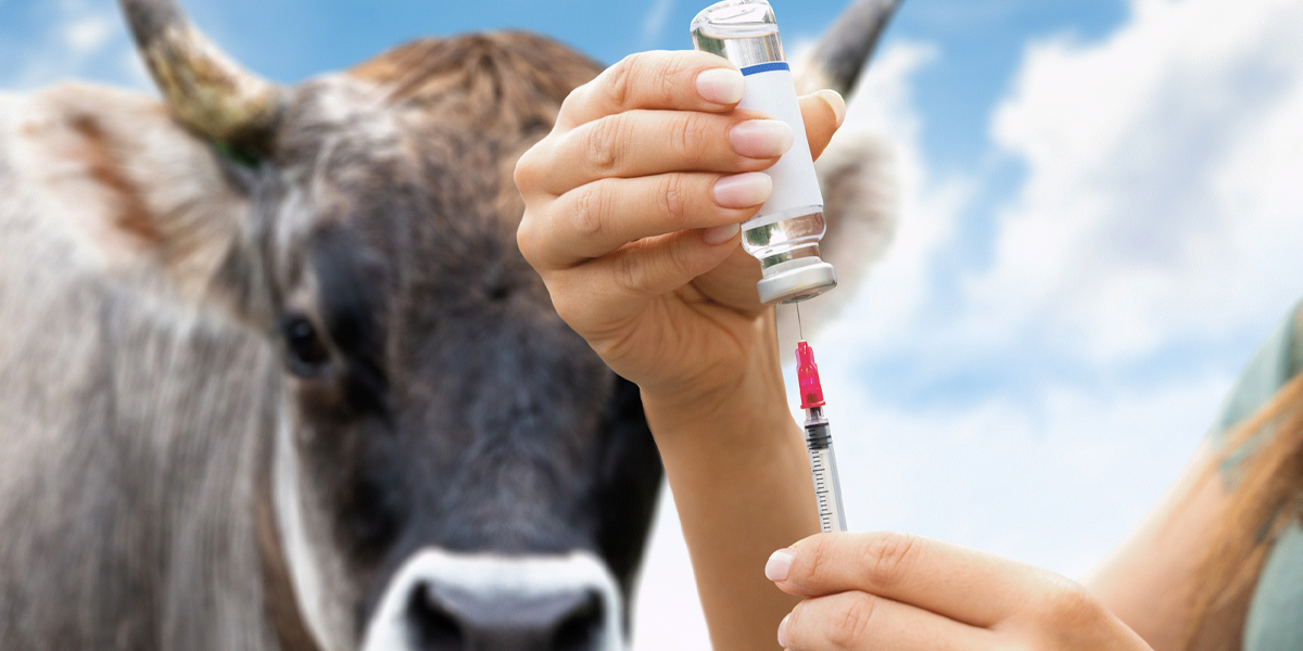 Veterinary Medicine