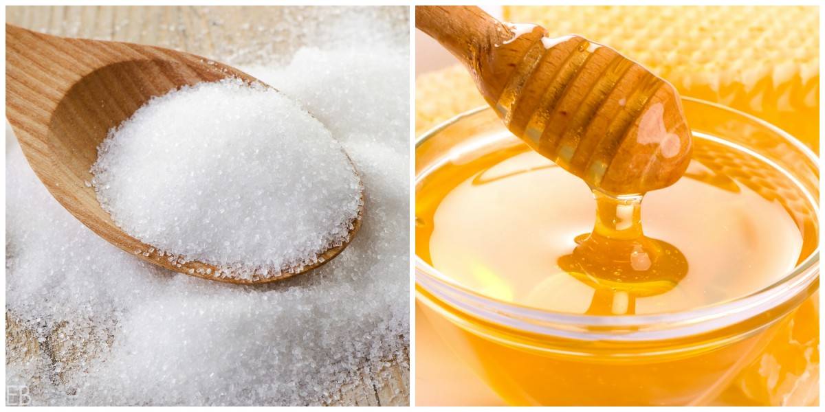 honeyvssugar