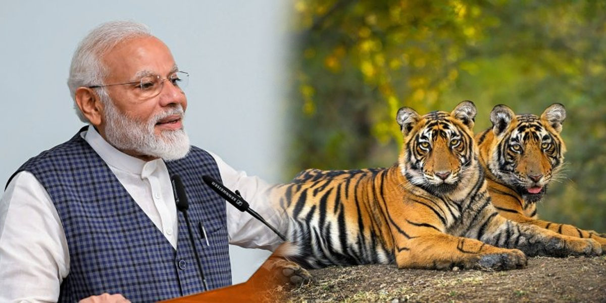ProjectTiger