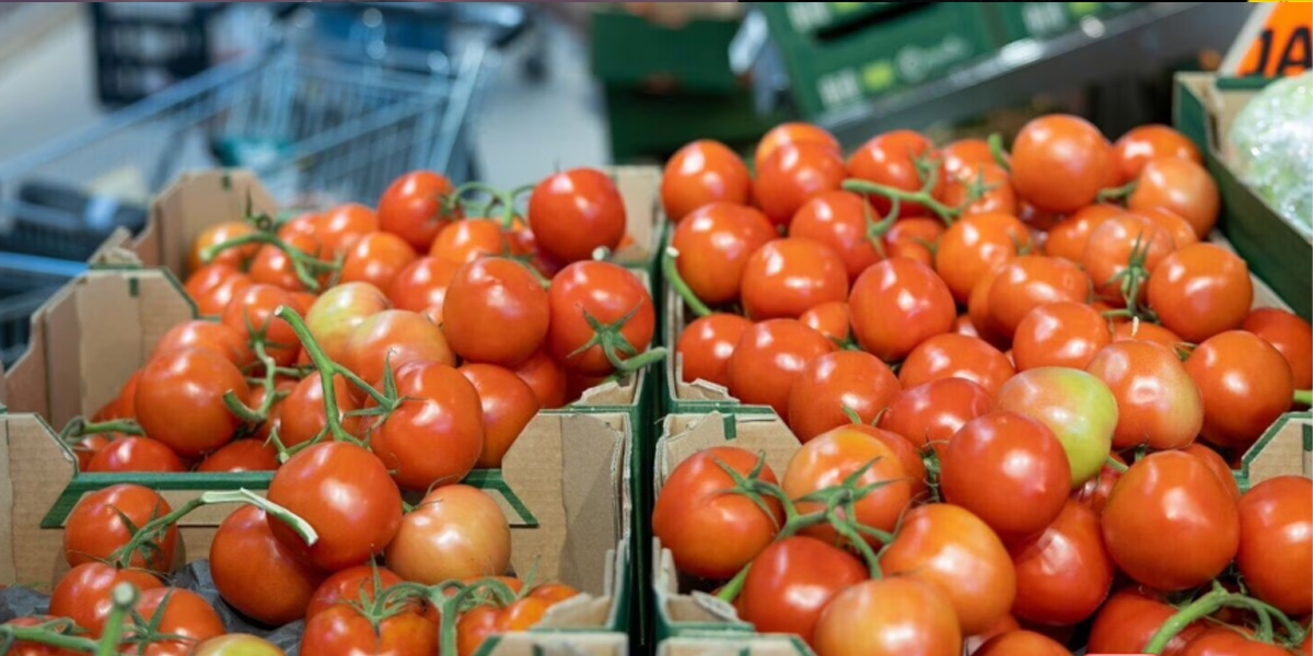 Tomato price