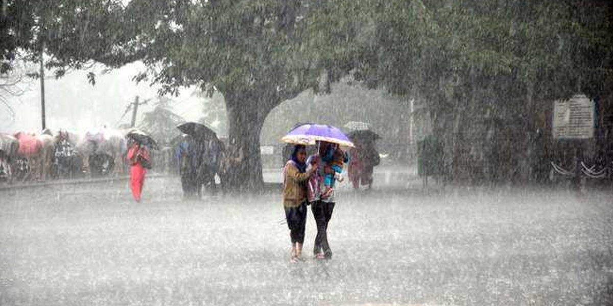 haryana rain