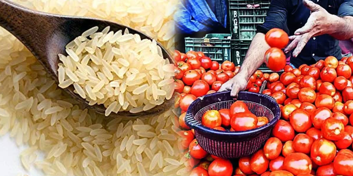 tomato and rice price