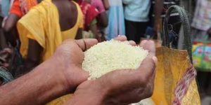 white rice