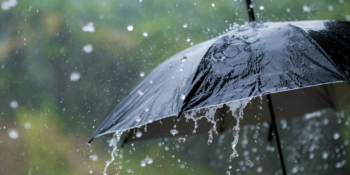 Rain