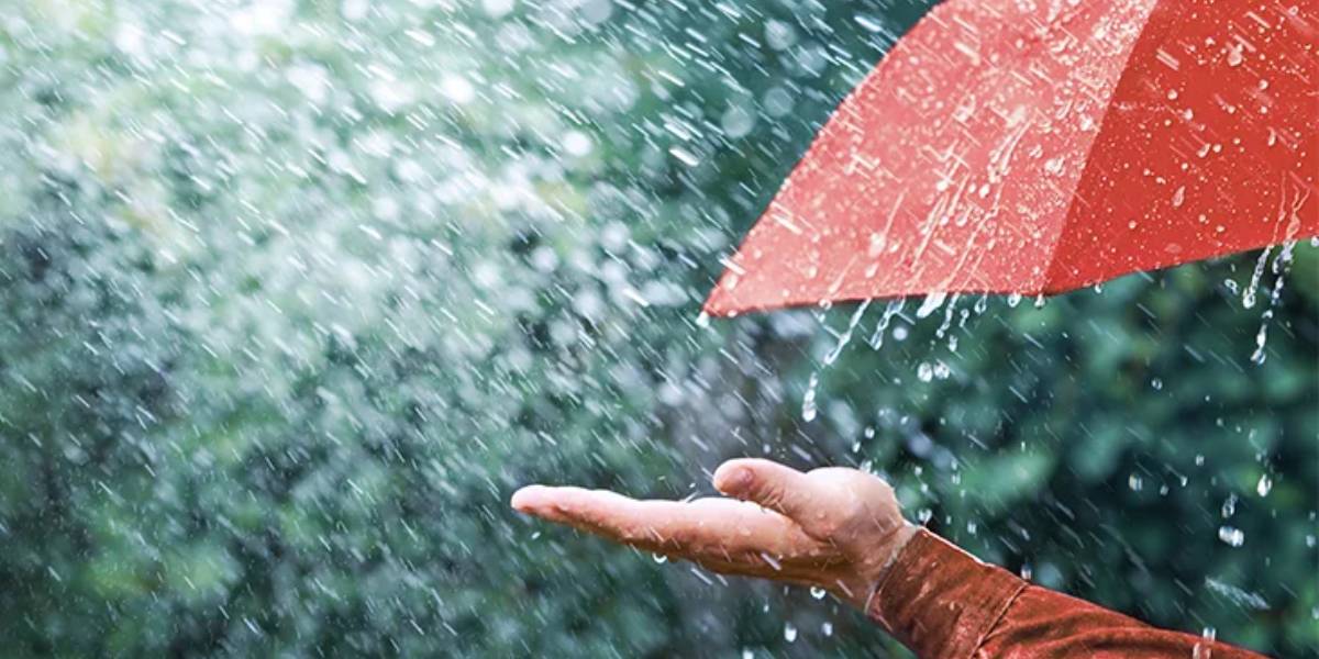 Rain