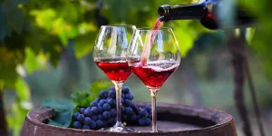 Wine