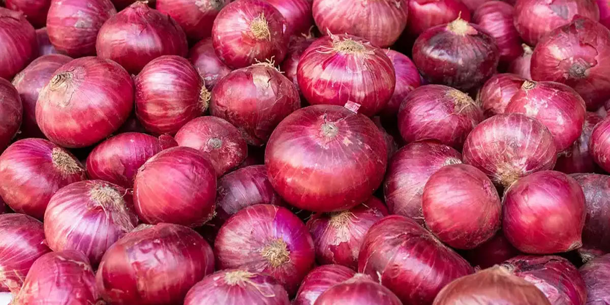 onion