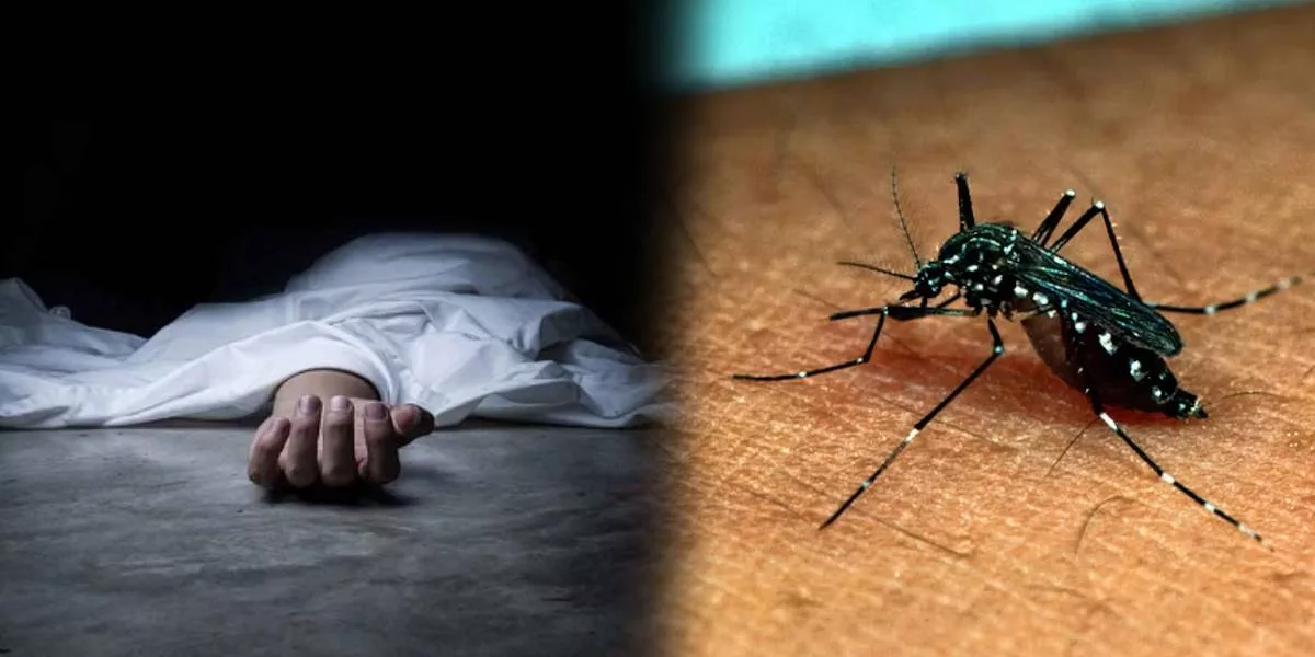 Dengue Fever $ year child died