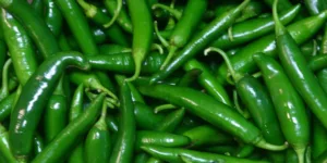 Green Chilly