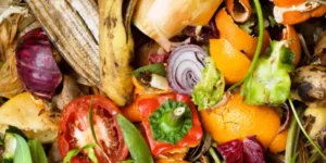 Kitchen Waste