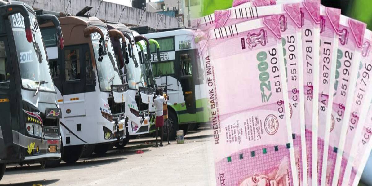 amini bus