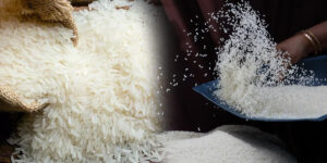 RICE