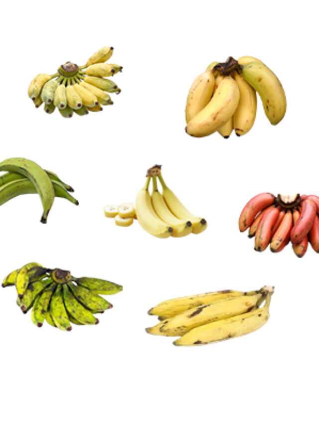 banana-8