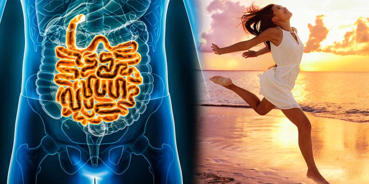 HumanIntestine