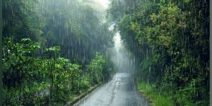 rain