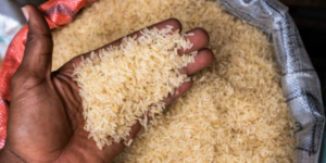 rice