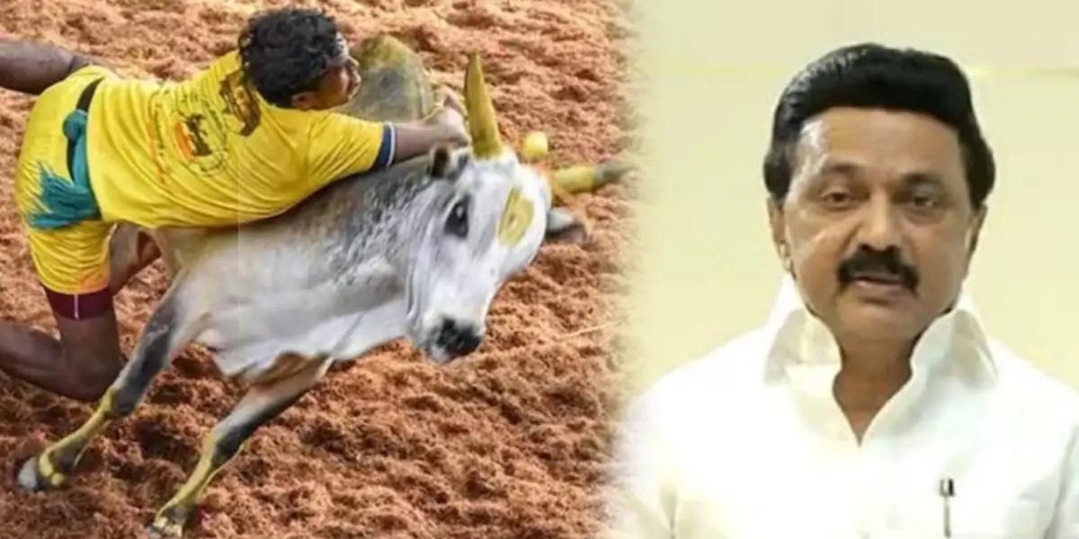 Jallikattu 2024 - Tamilnadu CM MK Stalin