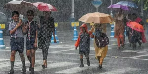 Rain