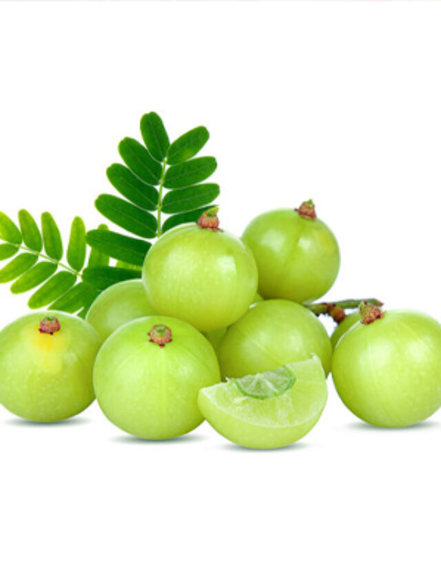 gooseberry