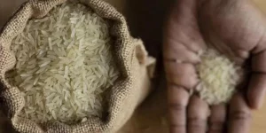 Bharat Rice