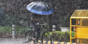 TN Rain