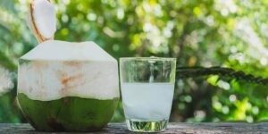 coconut water