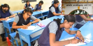 tn school education