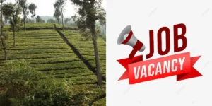 Nilgiris