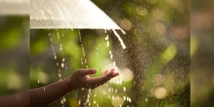 summer rain