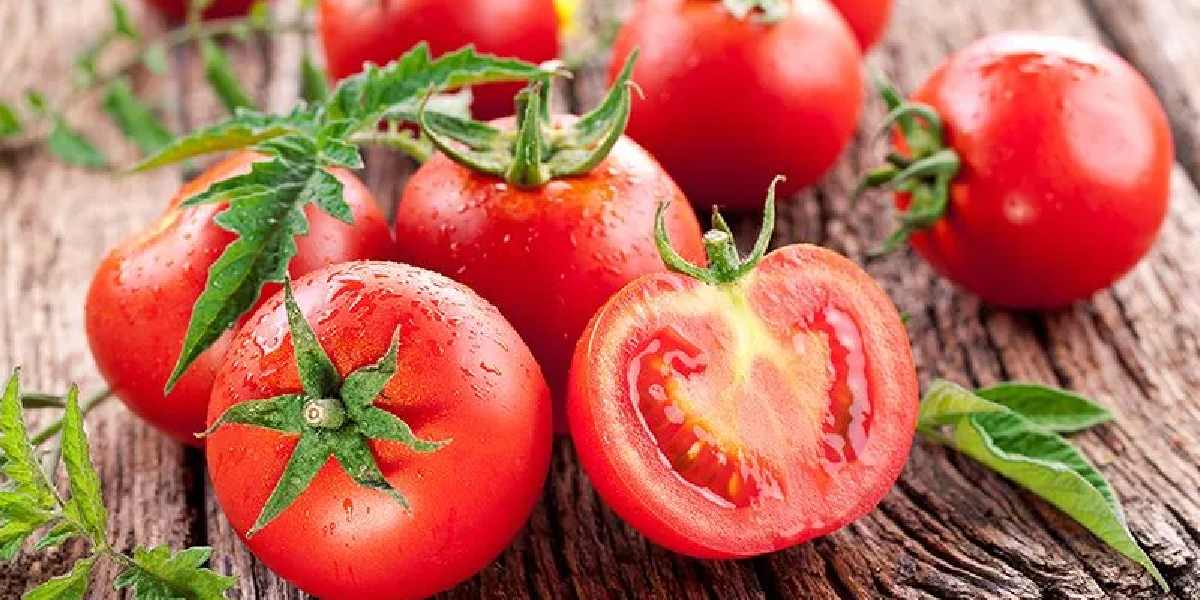 tomato